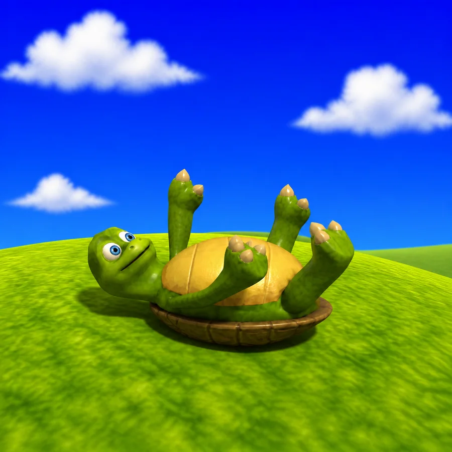 turtl stuck on his back